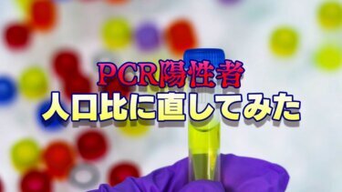 新型コロナウイルスのPCR検査陽性者数は多い？日本の人口比に直してみた結果